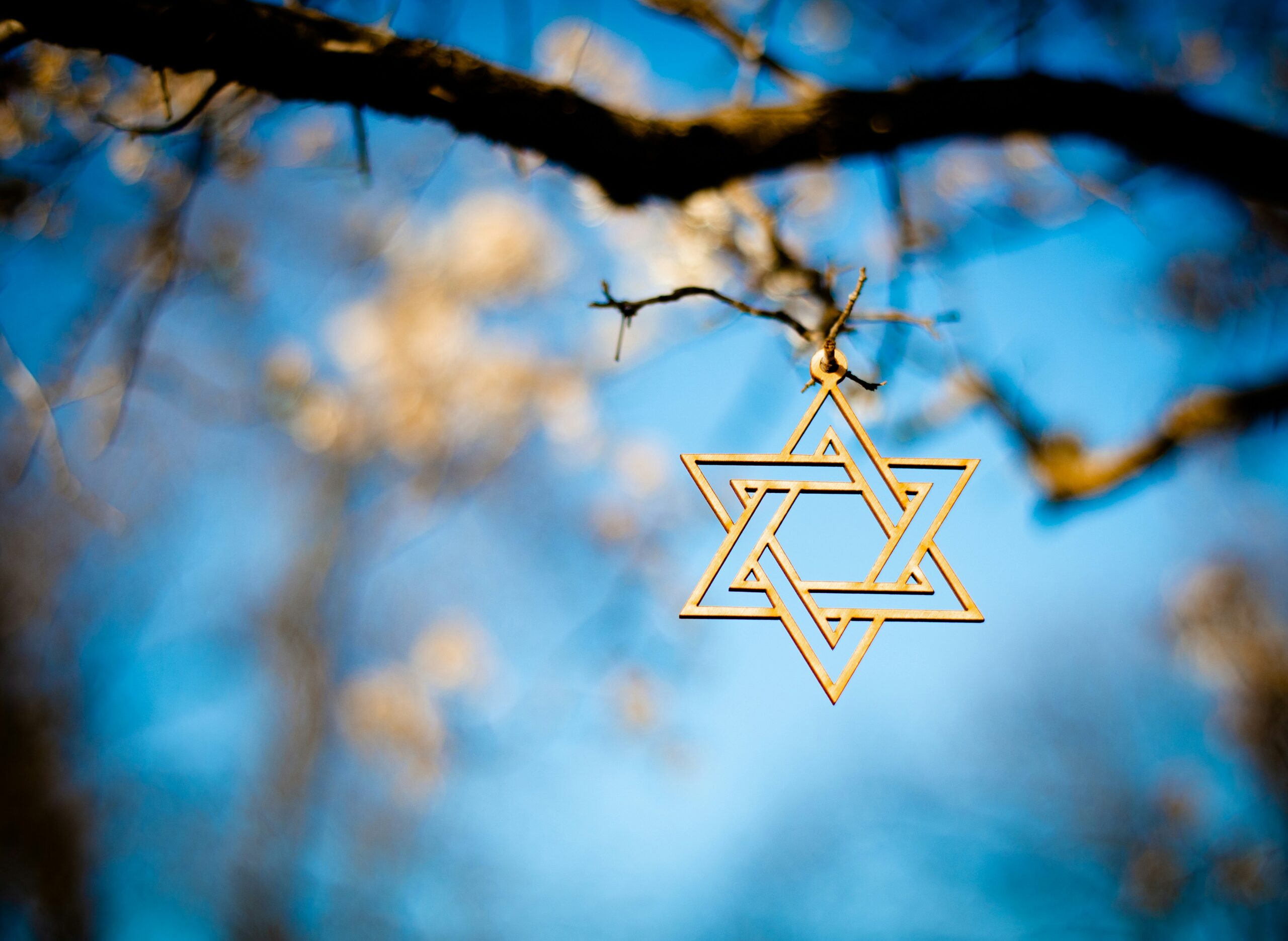 a Jewish star pendant hangs from the branch of a tree